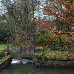 Paysage - Nature